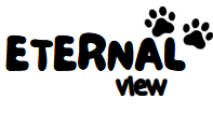 Eternal view Internacional